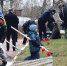 Волонтеры завода взяли шефство над Братским кладбищем - Тихвинский район
