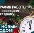 Режим работы на новогодние праздники - Тихвинская МБ
